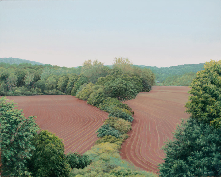 Mirrored Fields 2006 - Tom Yost