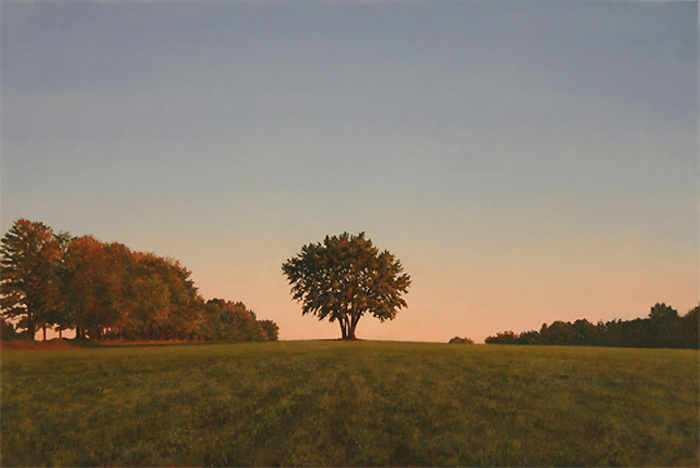 Lone tree 2005 - Tom Yost