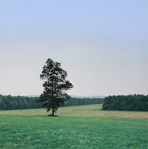 Summer View from Painter Hill Road 2003 - Tom Yost